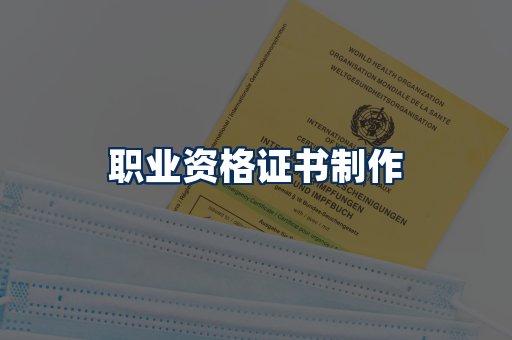 职业资格展示